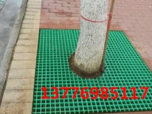上海樹篦子